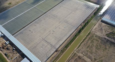 Construction of Pure Flavor® Greenhouse Expansion Continues Without Delay
